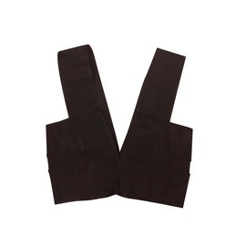 Alexander Wang, Sujetador Alexander Wang para H&M