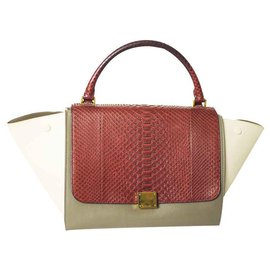 Bolsa de mão Céline Trapeze em pele de pitão multicolor