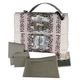 Borsa a mano Bottega Veneta in pelle di vitello intrecciata e pitone vernice