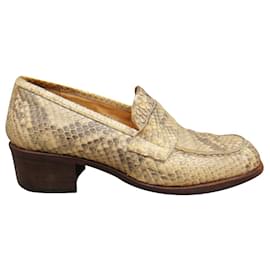 Python-Derbys Sartore p 35