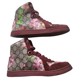 Gucci rosa Blumenblüte