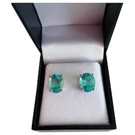 Autre Marque StyleRocks Orecchini in Apatite Oro Bianco 9ct