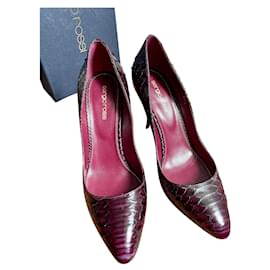 Sergio Rossi Pumps aus Python Leder Bordeaux