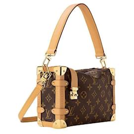 Louis Vuitton Side Trunk PM Monogramma Marrone