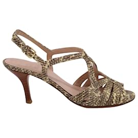 Stuart Weitzman Sandali Tacco Alto Stampa Serpente in Pelle Multicolor