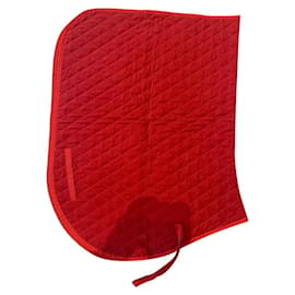 Hermès Red Fine Carpet