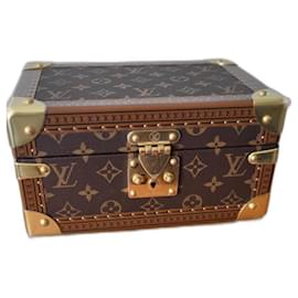 Louis Vuitton Scatola del tesoro 24 Pelle Marrone