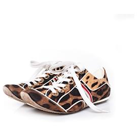 DOLCE & GABBANA, Leoparden-Sneaker - Dolce & Gabbana