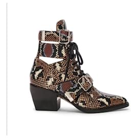 Stivali Chloé Rylee multicolore in pelle di serpente