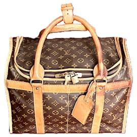 Louis Vuitton Vanity in pelle marrone