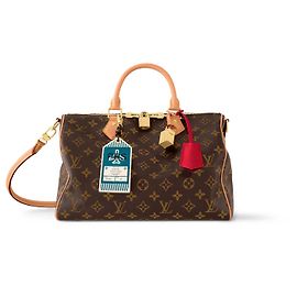 Louis Vuitton LV Speedy tela monogramma Soft 30