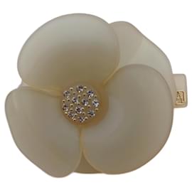 Barreta Camelia Alexandre de Paris Beige Acetato