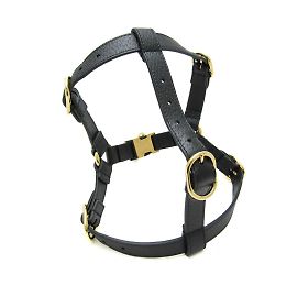 Gucci Interlocking G Dog Harness