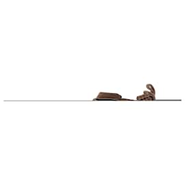 Botines Alexander Wang T.EU 37 de ante