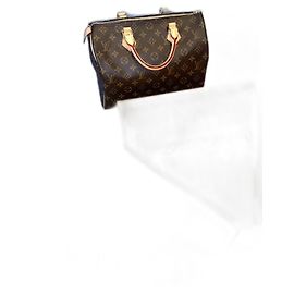 Louis Vuitton Speedy 30 Borsa a mano marrone in pelle