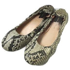 Autre Marque Gianvito Rossi AUDREY Python Ballet Shoes