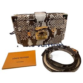 Clutch in pitone Louis Vuitton