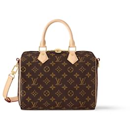 Louis Vuitton LV Speedy 25 bandoliera monogramma