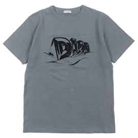 Camiseta de jersey de algodón slub Dior gris S