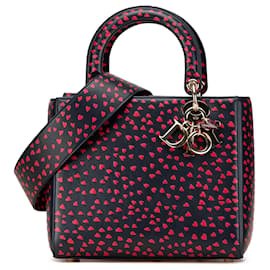 Dior Blu Medio Pelle di Vitello Amo Parigi Lady Dior