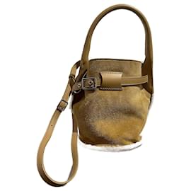 Céline Borse CELINE T. Camoscio