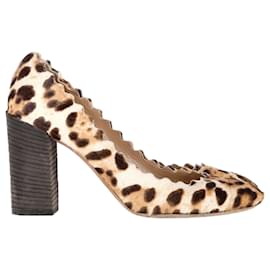  Chloé Leopard Scallop Pumps in Brown Pony Hair