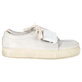 Baskets basses Adriana en cuir blanc d'Acne Studios