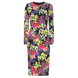 Robe fourreau imprimée Wild Rose de Dolce & Gabbana