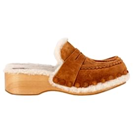 Pantofole Chloé Joy in suede marrone