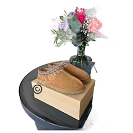 Ugg Tasman Farbe Kastanie