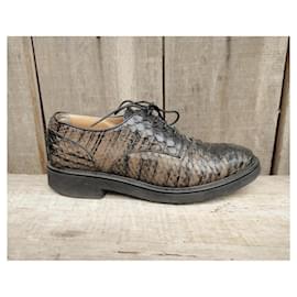 Sartore Python Derbies Schwarz Beige