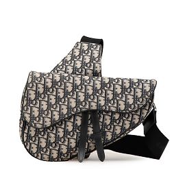 Dior Oblique Satteltasche von Christian Dior