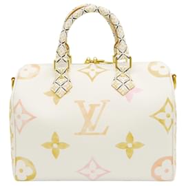 Louis Vuitton Speedy Bandoulière 25 a bordo piscina