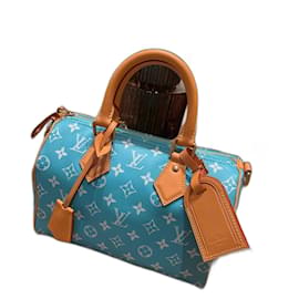 Louis Vuitton Borsa a Tracolla Speedy P9 25