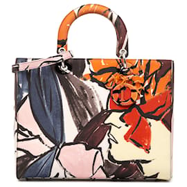 Dior Multi Gran Lona Floral Graffiti Lady D Lite
