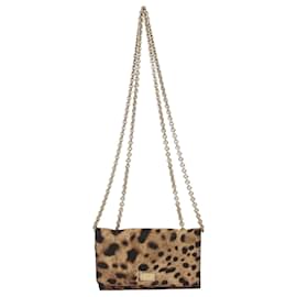 Dolce & Gabbana Brown Leopard Print Coated Canvas Trifold Wallet On Chain