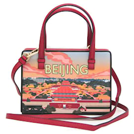 Borsa POSTAL Small Loewe BEIJIN 309.37.W85