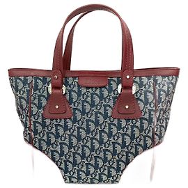Christian Dior Trotter Canvas Leder Handtasche