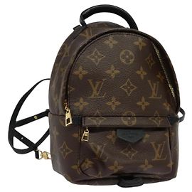 Louis Vuitton Palm Springs Monogram Canvas Mini