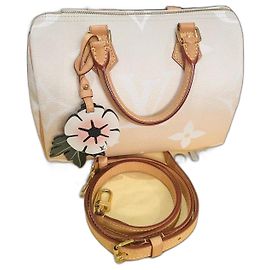 Louis Vuitton Speedy 25 Bandoulière