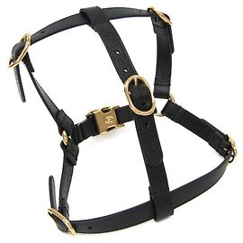 Gucci Interlocking G Dog Harness