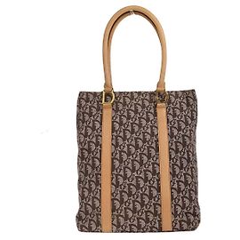 Bolso Trotteur de lona Christian Dior