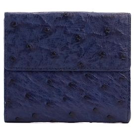 LOEWE - Loewe Geldbörse aus vintage blauer Straußenleder