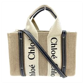 Borsa a Spalla WOODY MINI di Chloé