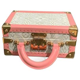 Louis Vuitton Dal 1854 Borsa a Mano Jacquard Rosa e Bianca Bleeker Box