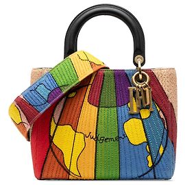 Dior Marrone Medio Tela Perlata e Ricamata Tarot Giudizio Lady Dior