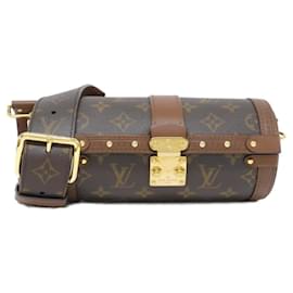 Borsa a Spalla Papillon Trunk Monogramma Louis Vuitton