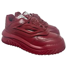 Sneakers Bordeaux Odissea di Versace