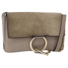 Chloé Borsa a Spalla Faye in Pelle Piccola di Chloe
