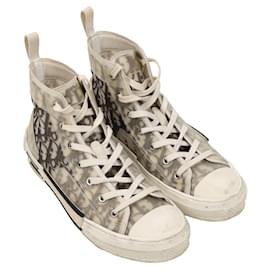 Dior B23 High-Top Sneakers Grau Stoff